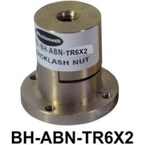 BHOLANATH ANTI BACKLASH NUT TR6 X 2