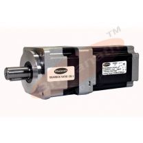 1700 kg-cm BIPOLAR PLANETARY GEARED STEPPER MOTOR (6 Amp Motor)