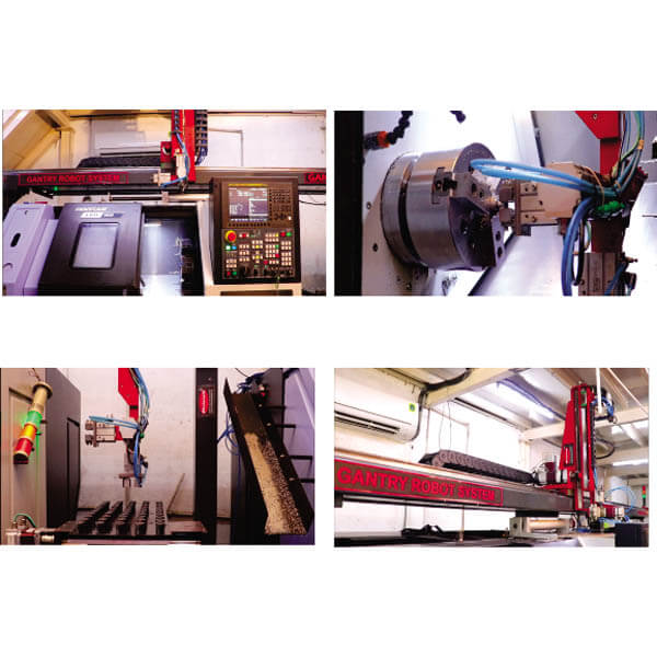 CNC Loading and Unloading Multi Axis Gantry Robot